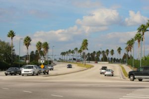 Cars driving along a palm lined divided highway. Highway design accidents.